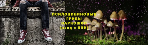 спиды Абаза