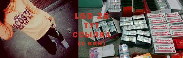 спиды Абаза