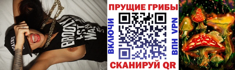 Галлюциногенные грибы Cubensis Агидель